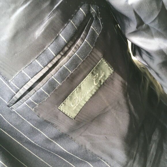 Phineas Cole Men's Sports Coat Navy Blue Striped Wool Cashmere Size 40 L Long - Picture 8 of 9